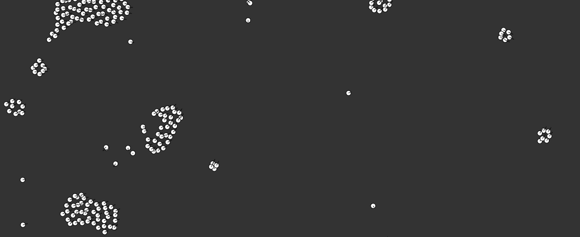 Jumping on the Coding Train of creative coding